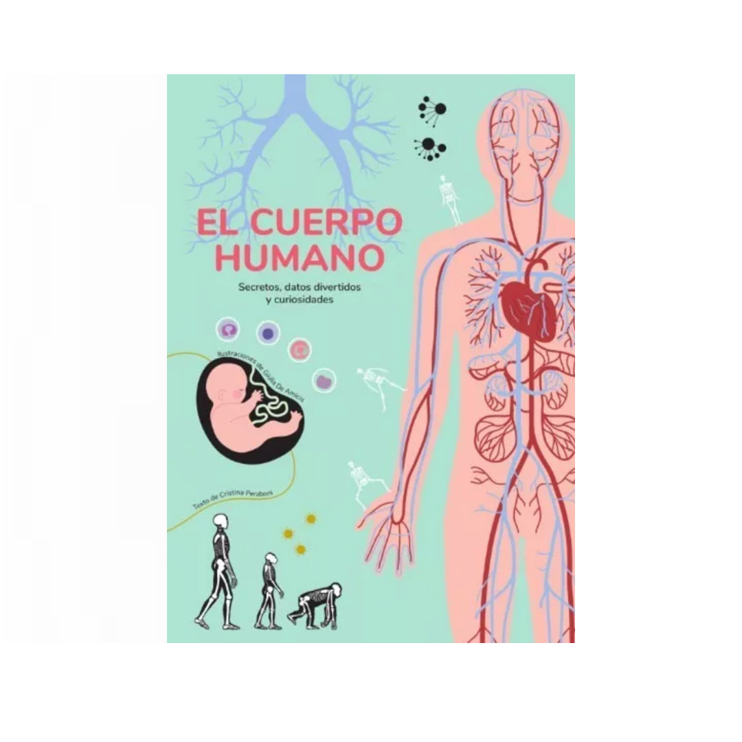 El cuerpo humano