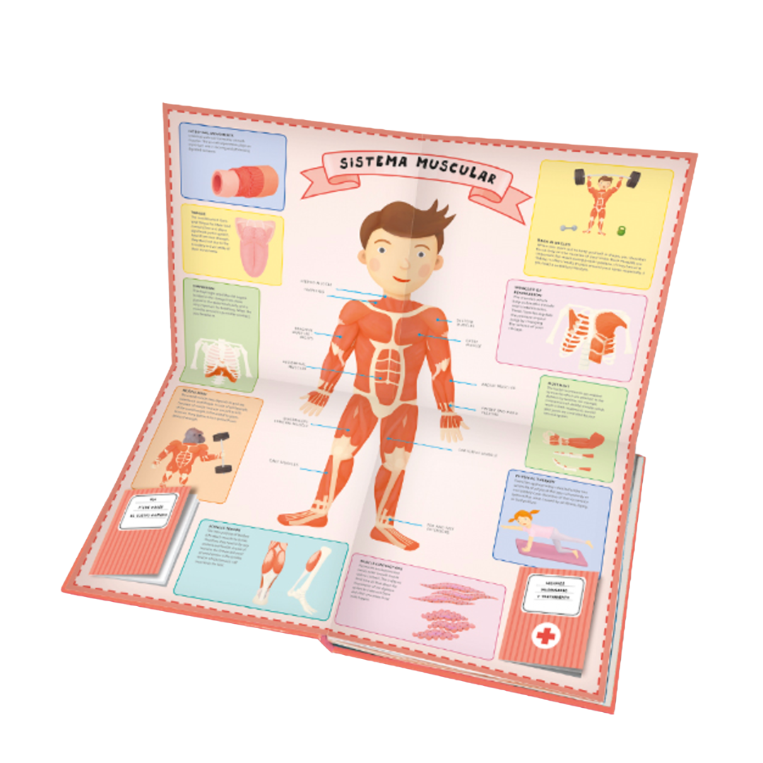 Atlas del cuerpo humano