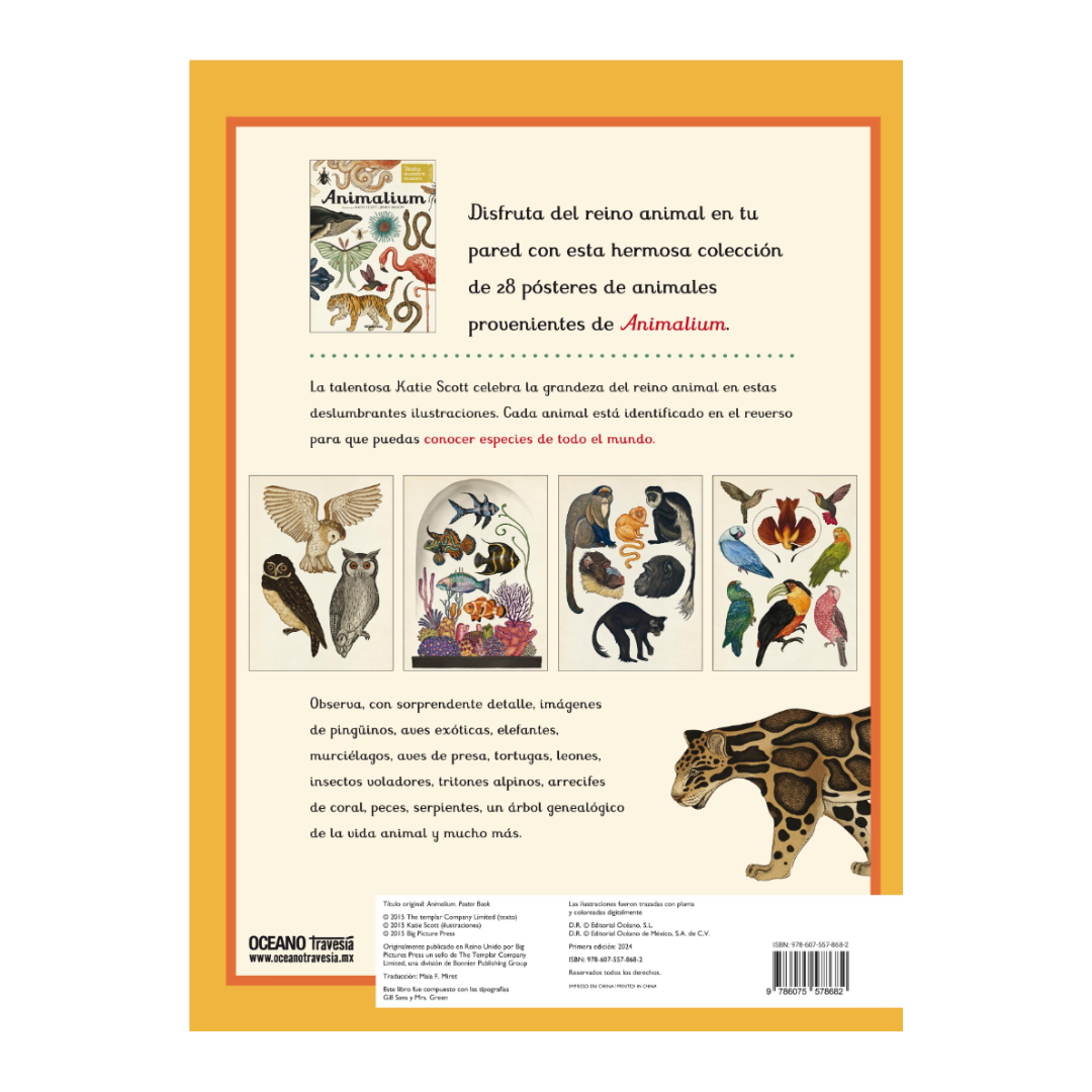 Animalium (Poster book)