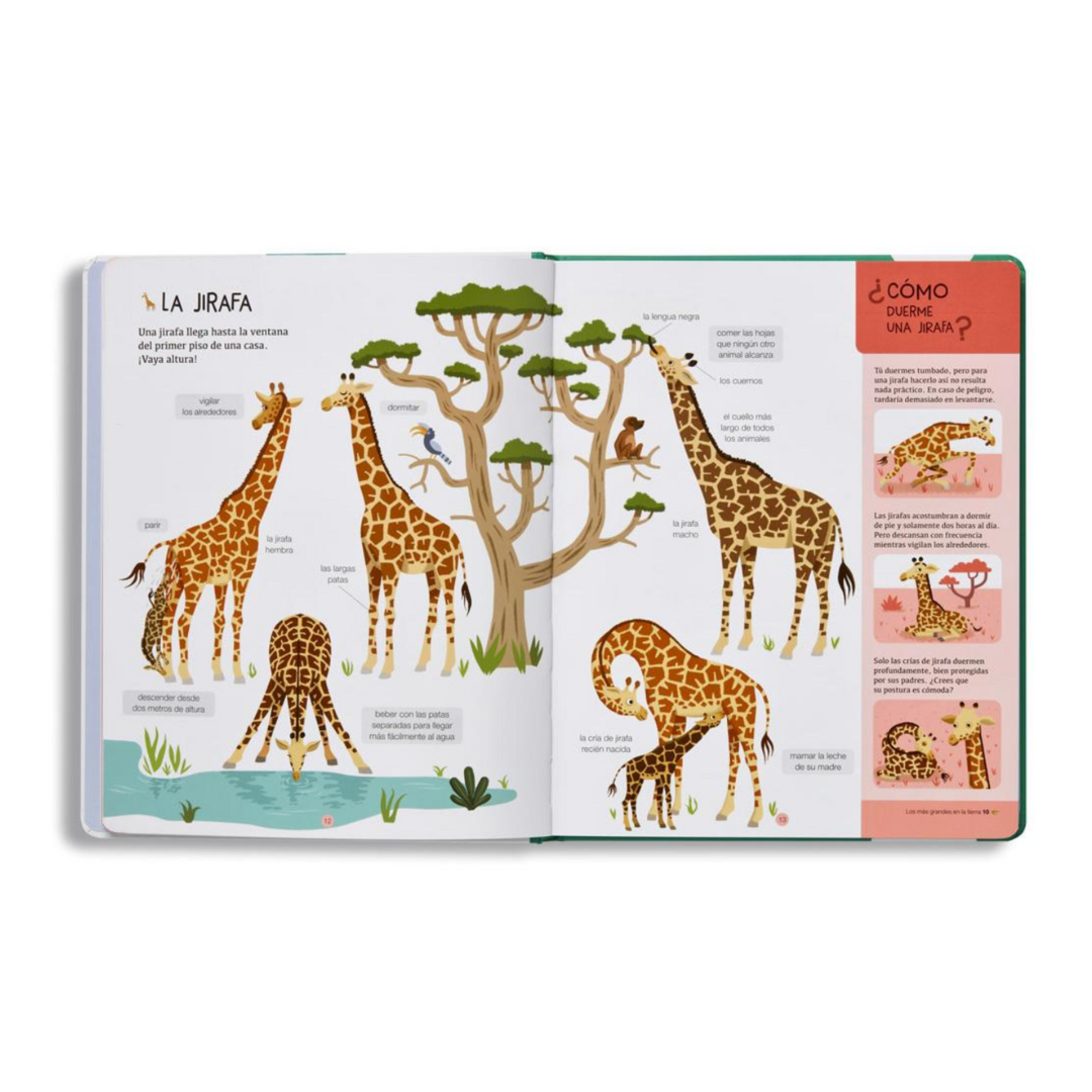 Récords de animales