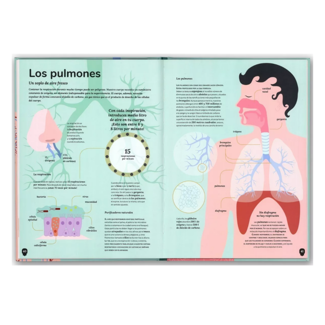 El cuerpo humano