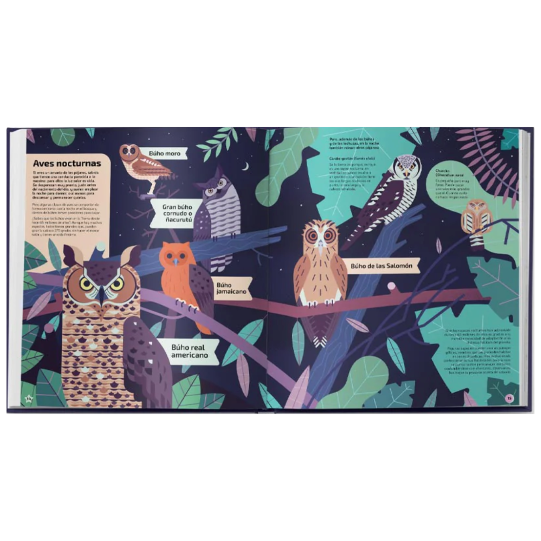 Nocturnos: Sobre la Tierra y sus criaturas cuando no hay luz