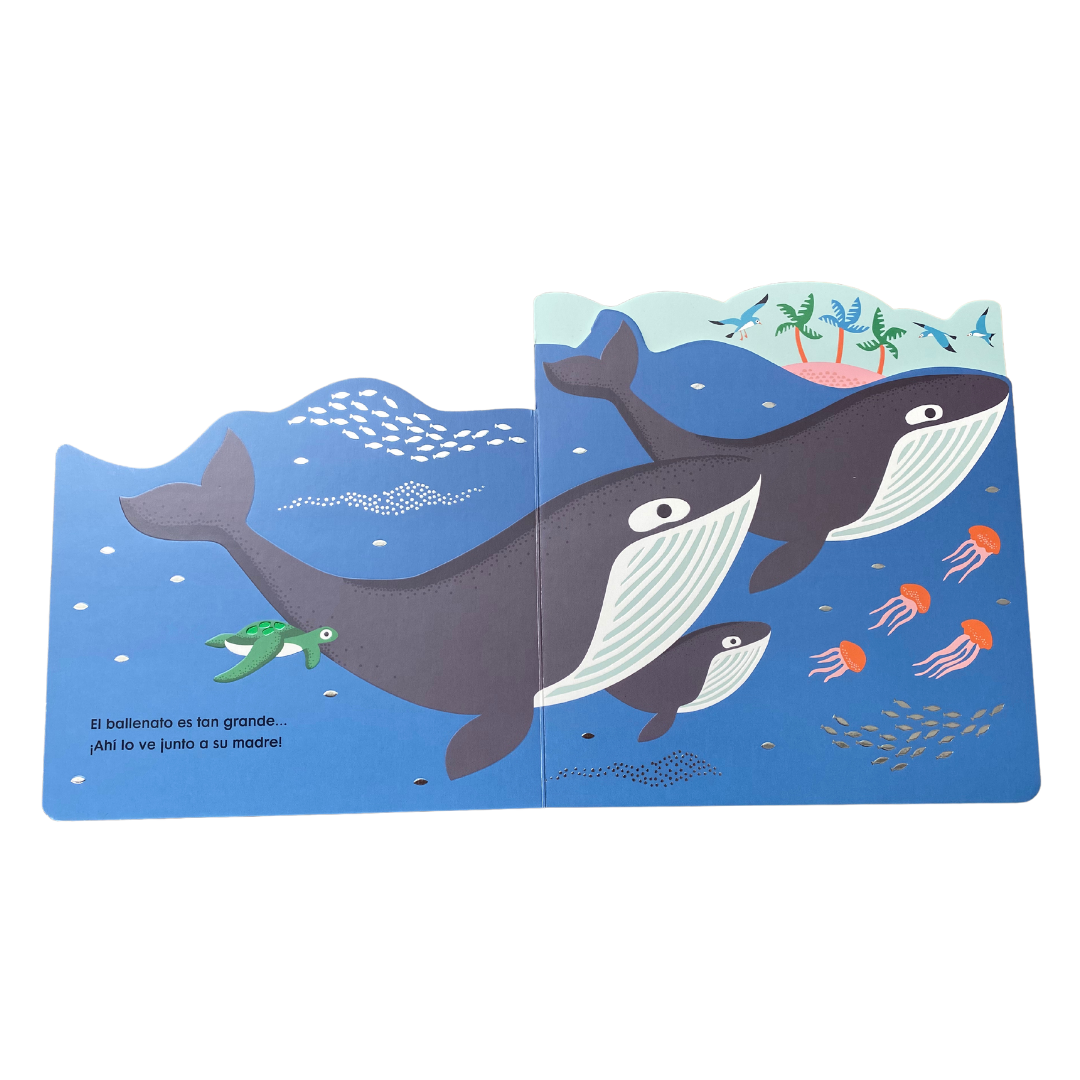 Veo en el océano (cartoné)