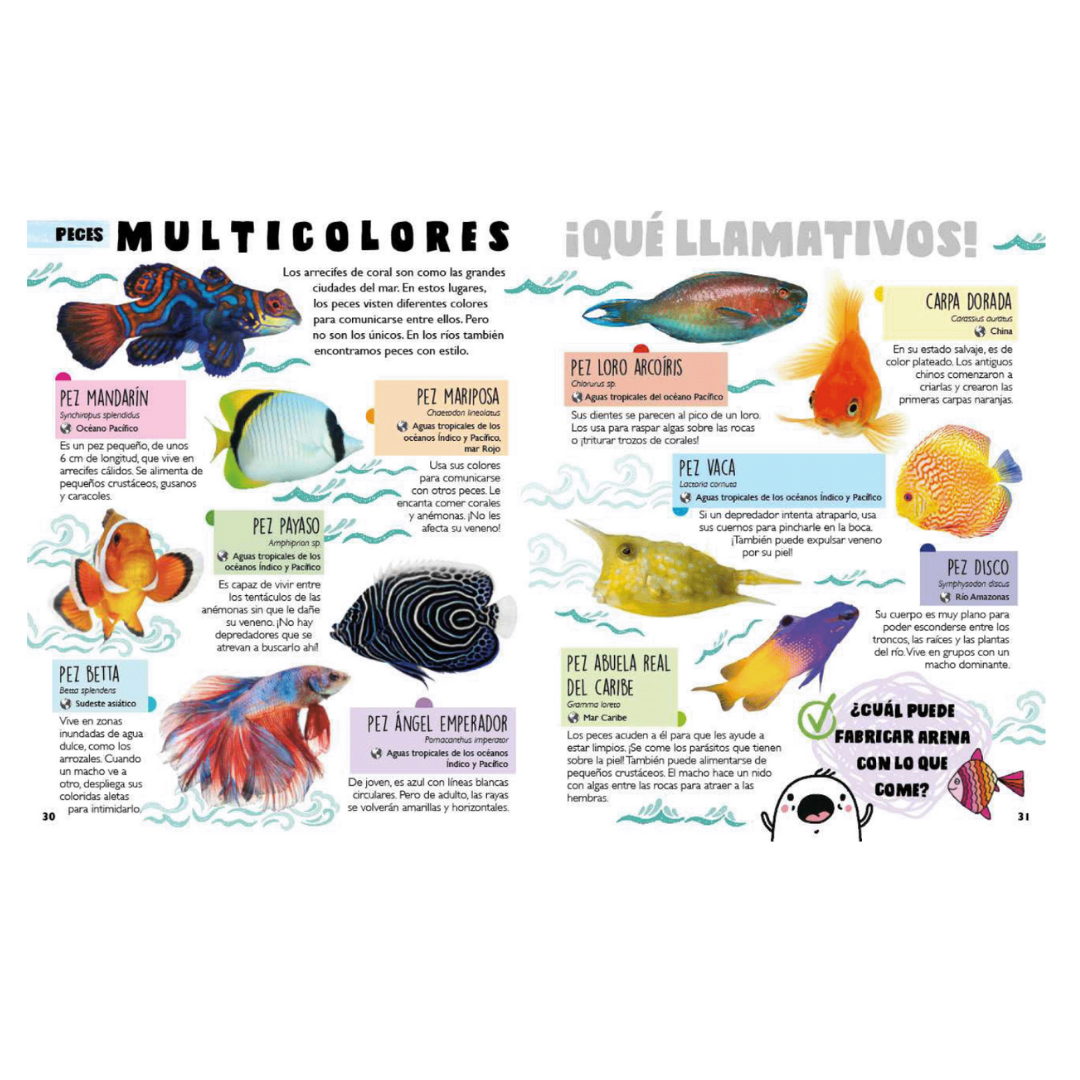 Catálogo de tiburones y animales del mar