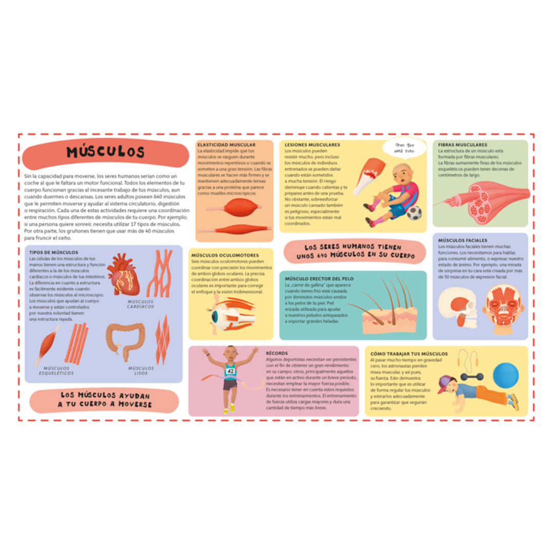 Atlas del cuerpo humano