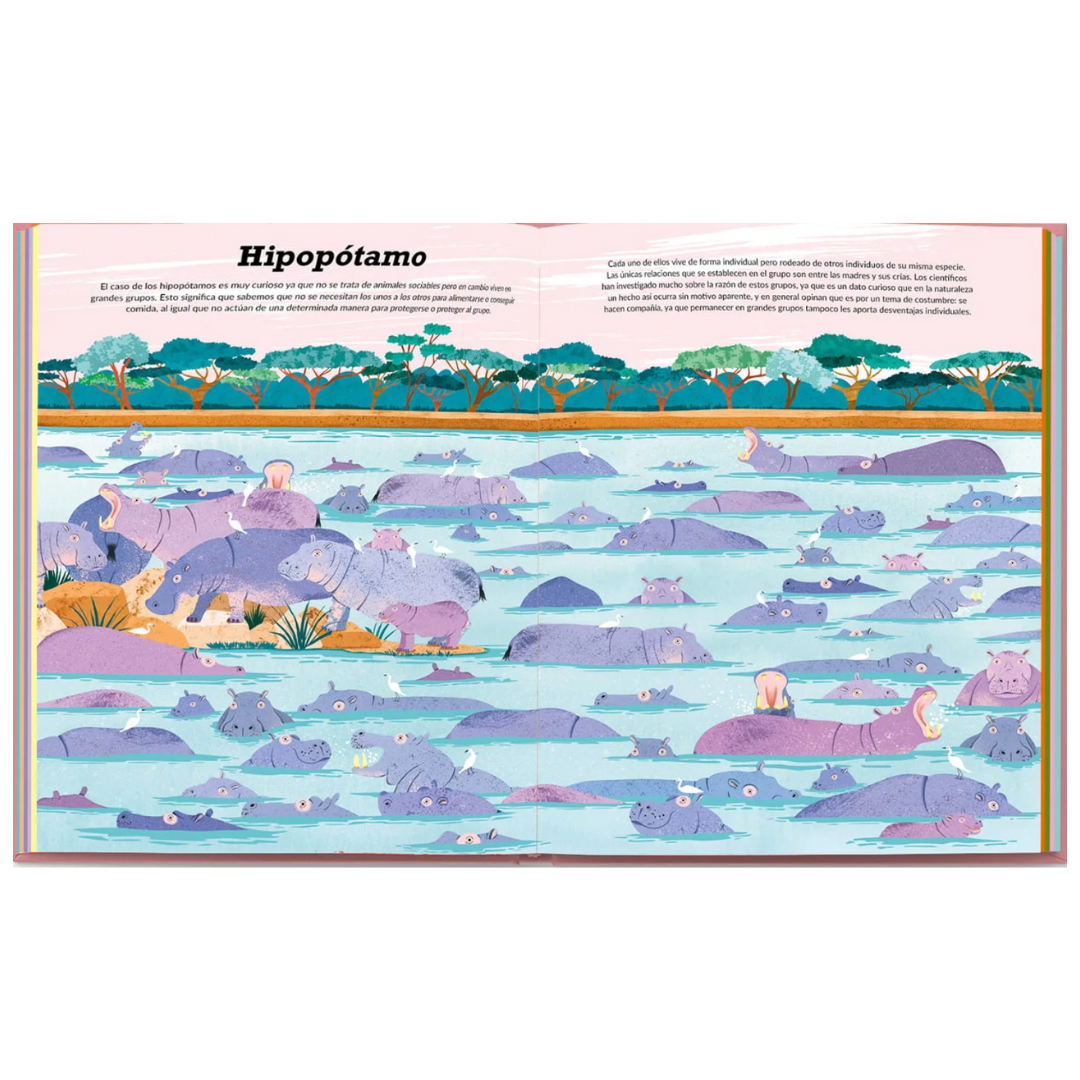 Uno, un millón: Animales que viven solos o en grandes grupos