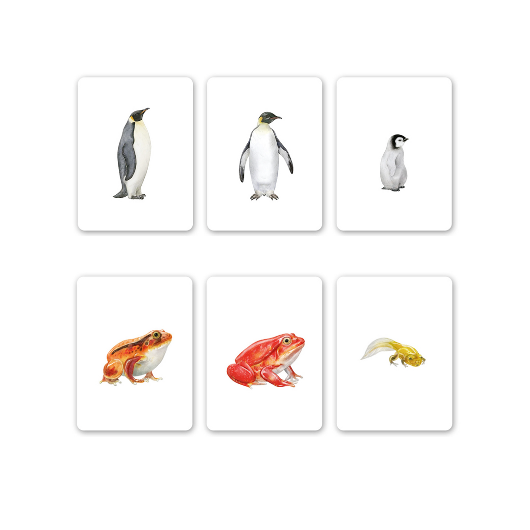 Juego de memoria de tres. Familias animales.