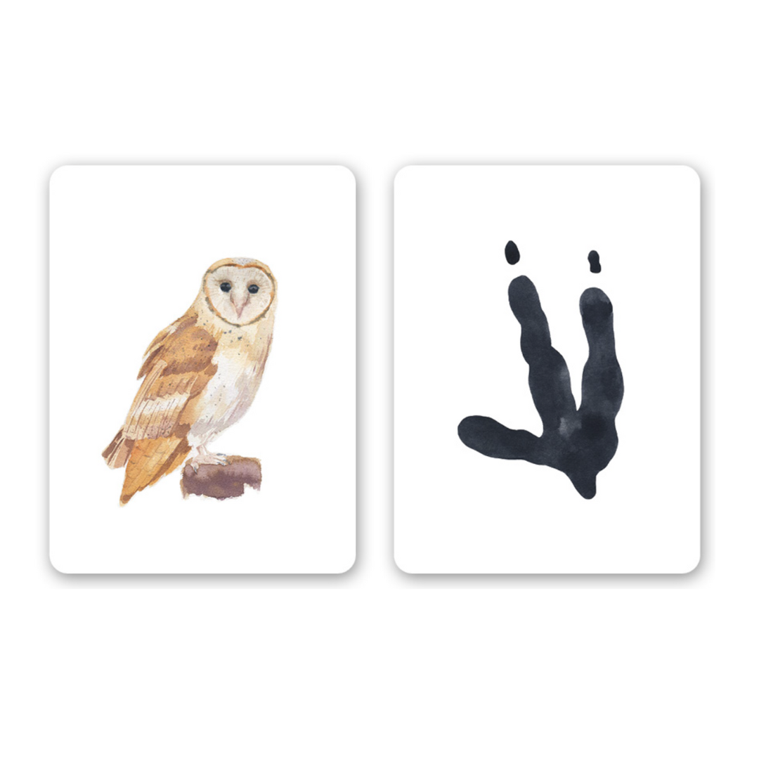 Memory. Descubre las huellas cercanas