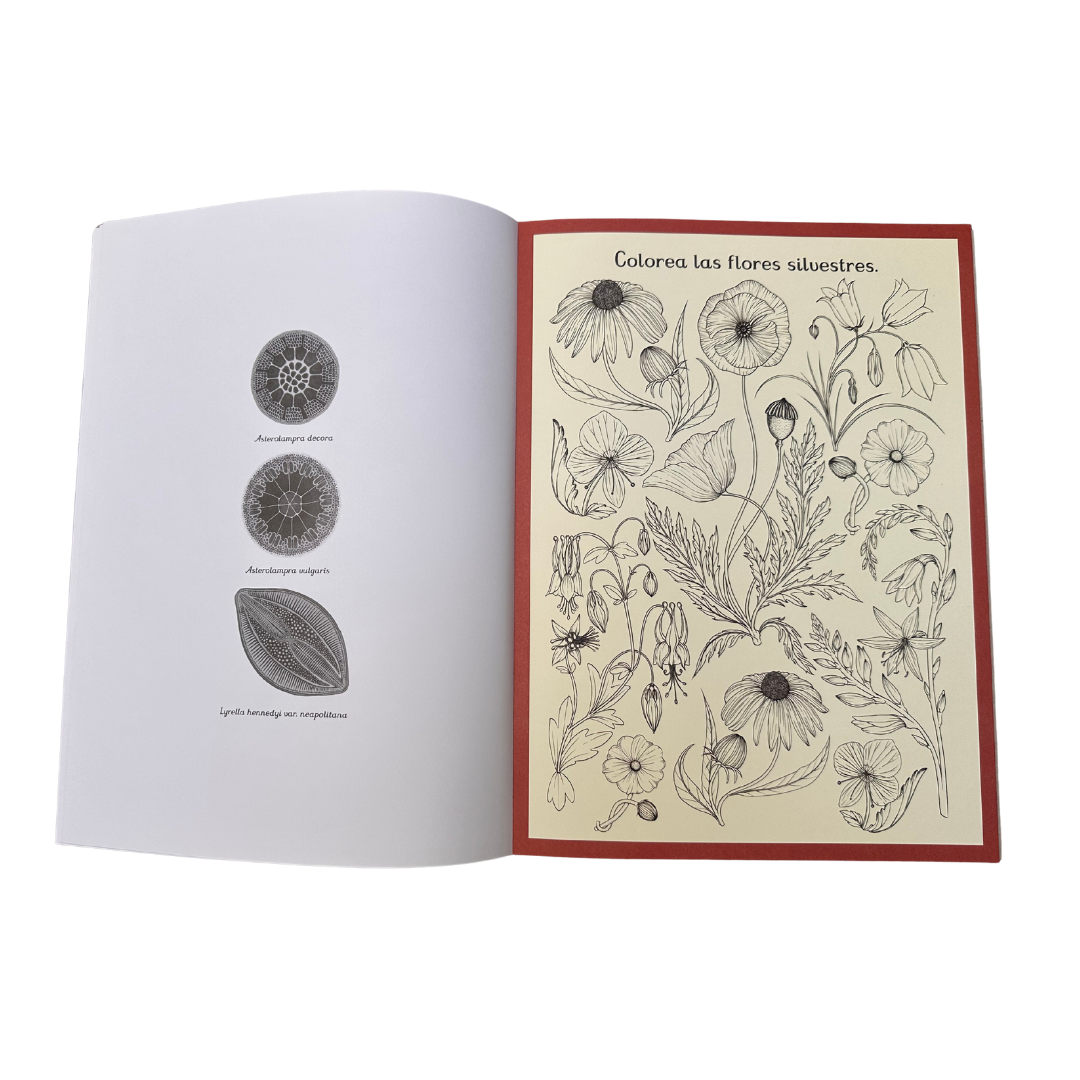 Botanicum. Libro de actividades