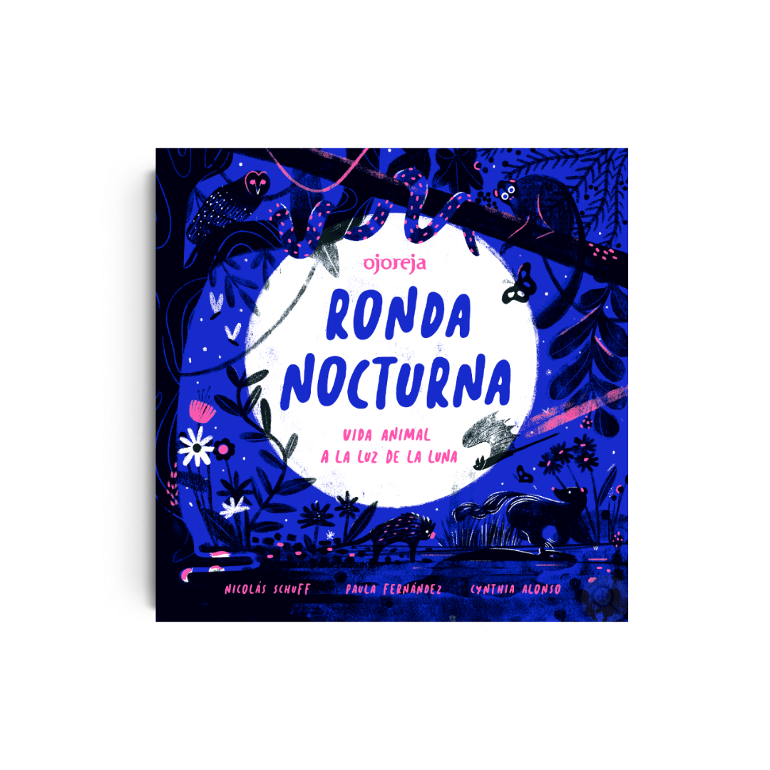 Ronda nocturna