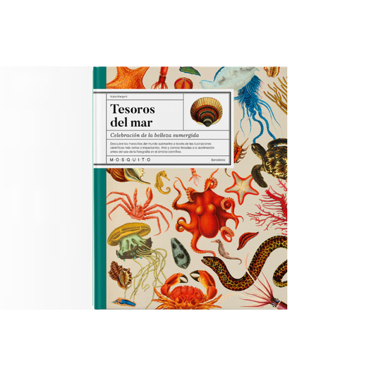 Tesoros del mar