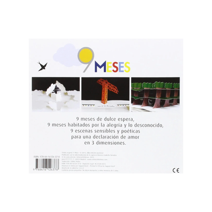 9 meses (Pop up)