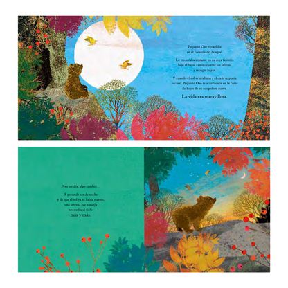 Un hogar para pequeño oso