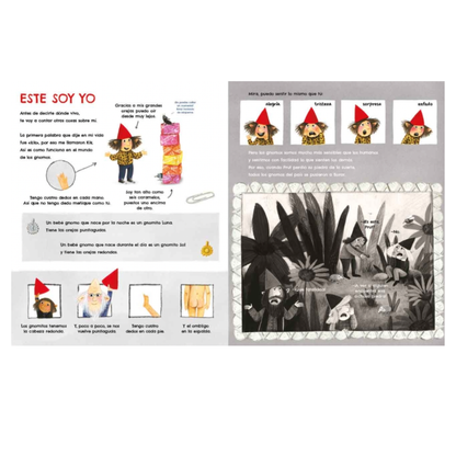 El libro de los gnomos