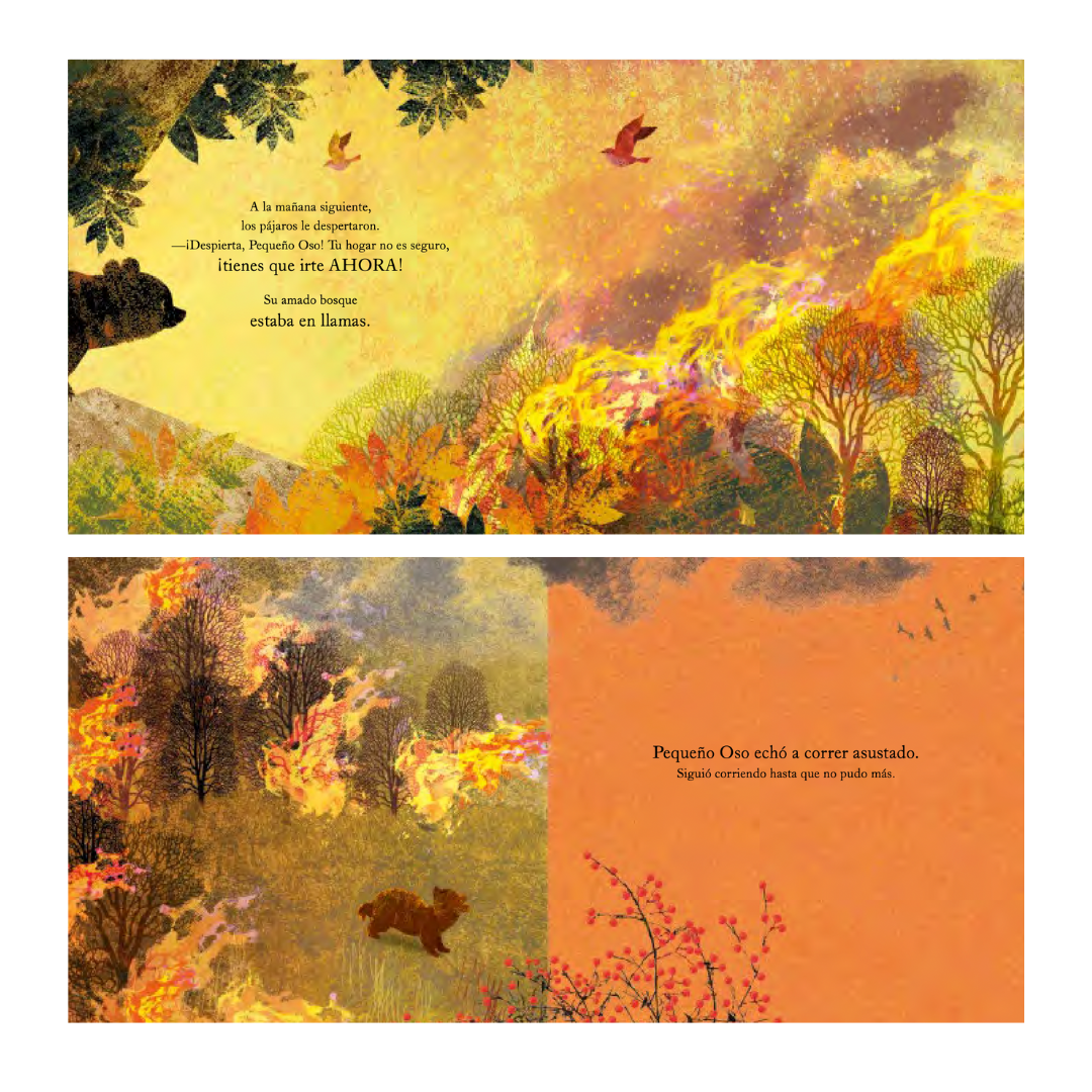 Un hogar para pequeño oso