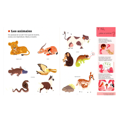 Los animales. La edad de los porqués