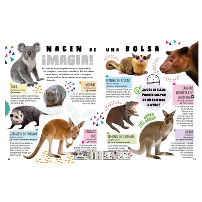 Catalogo animales salvajes