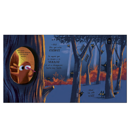 El ladrón del sol