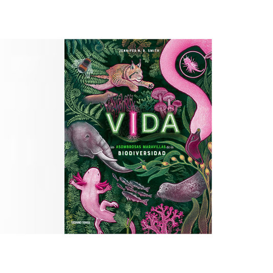 Vida