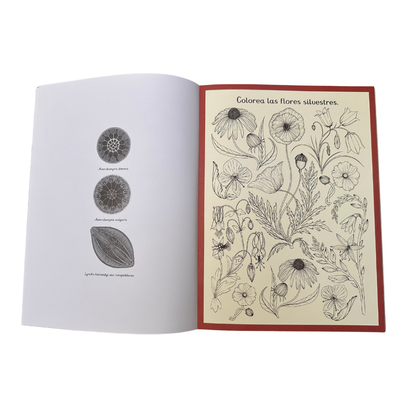 Botanicum. Libro de actividades