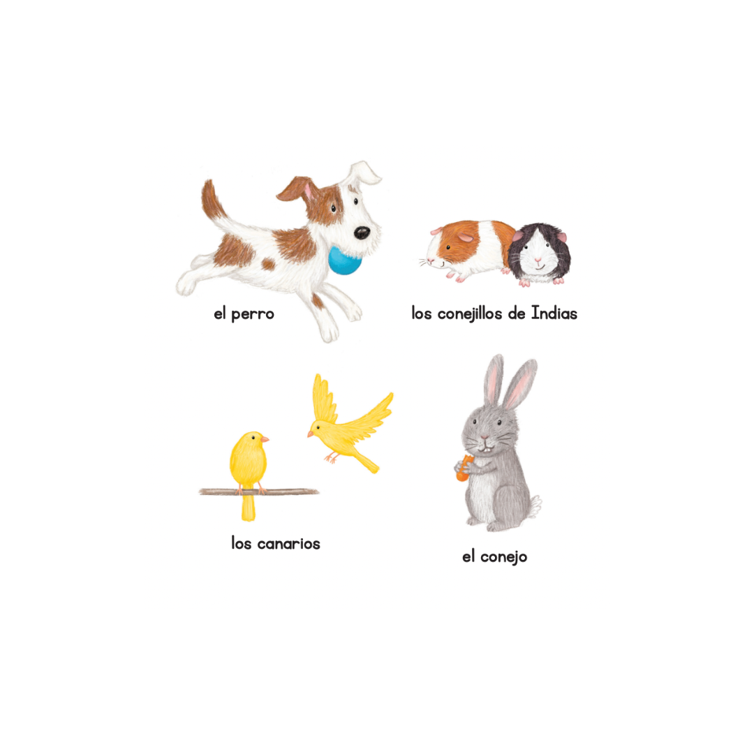 Con los animales (Cartoné)